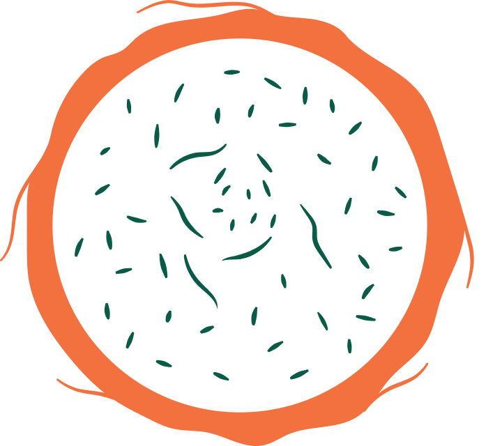 Stylized illustration of a cross-section of a fruit with seeds.