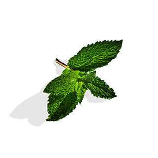 peppermint