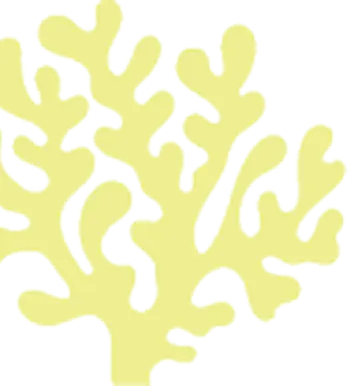 Yellow abstract coral pattern on a black background.