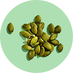 Green pumpkin seeds on a light green background.