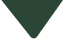 A green downward-pointing triangle on a white background.
