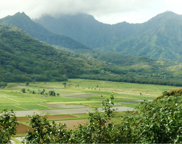 Lush green valley with fields and mountains under a cloudy sky.